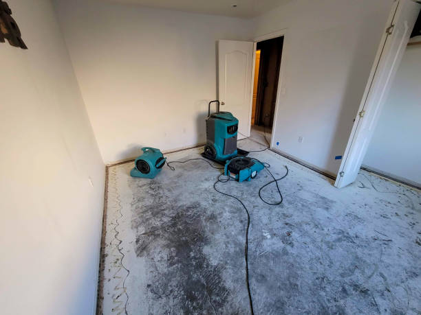 Best Flood damage cleanup  in Manorhaven, NY