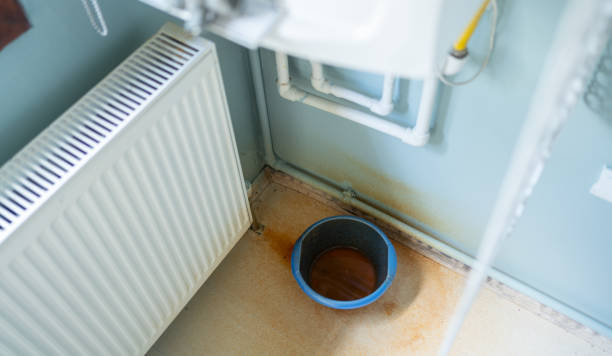 Best Water damage cleanup near me  in Manorhaven, NY