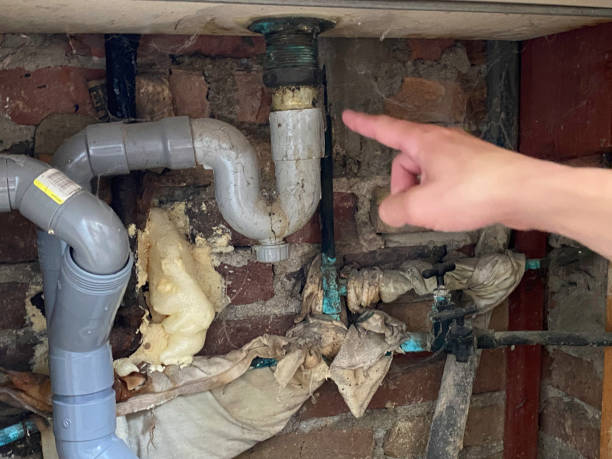 Best Water damage restoration near me  in Manorhaven, NY